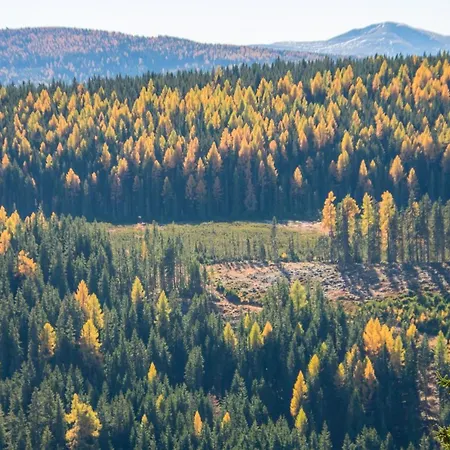 Διαμέρισμα Larix