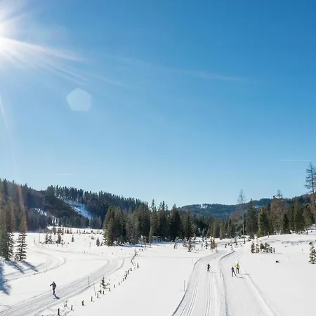 Larix Διαμέρισμα *