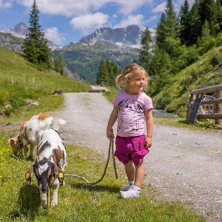 Larix * تامسويغ