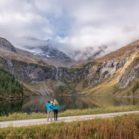 Larix * تامسويغ