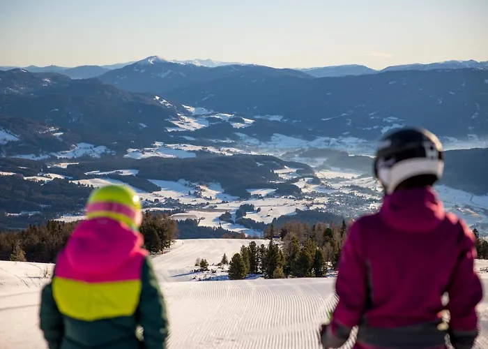 Larix タムスヴェーク